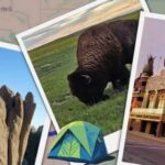 some of my favorite things of 2024